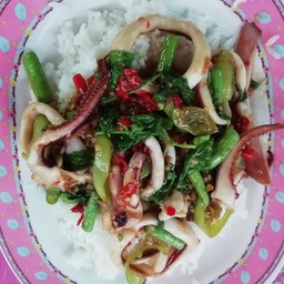 ข้าวกะเพราทะเล ปลาหมึก, กุ้ง