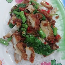 ข้าวกะเพราไก่กรอบ