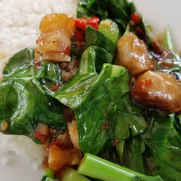 ผัดคะน้าราดข้าว