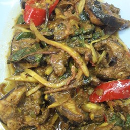 ผัดเผ็ดปลาไหล