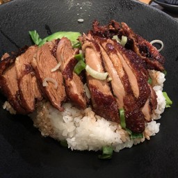 Hare & Tortoise Kensington