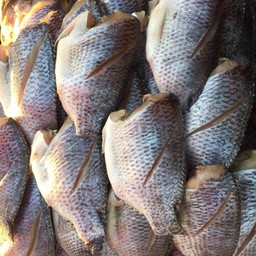 ปลานิลตัวเค็ม