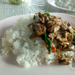 กะเพราเครื่องในไก่