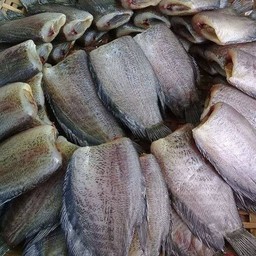 ปลาสลิดเค็มตัวใหญ่