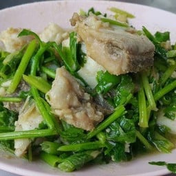 ปลาผัดคื่นช่าย ธรรมดา