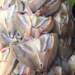 ปลานิลแร่เค็ม