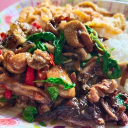 ข้าวกะเพราเป็ด