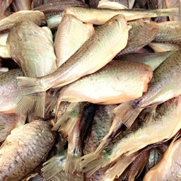 ปลาสร้อยเค็ม