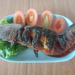 ปลาดุกย่าง