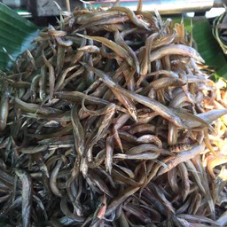 ปลารากกล้วยเค็ม