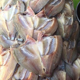 ปลานิคแล่เค็ม