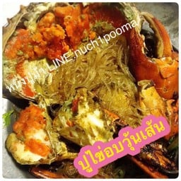ปูไข่