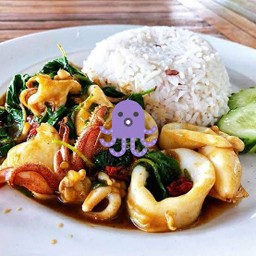 ข้าวกระเพราปลาหมึก