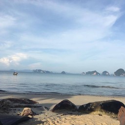 ตื่นมาก็เจอ