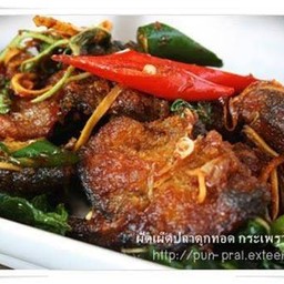 ผัดฉ่าปลาดุก