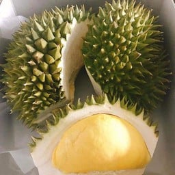 ร้านทุเรียนหลือลิขิตโชค
