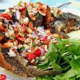 ปลาช่อนลุยสวน