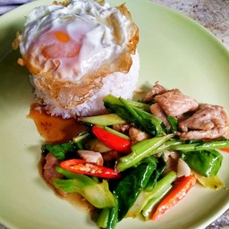 ข้าวราดคะน้าหมูชิ้น   ไข่ดาว   ไข่เจียว
