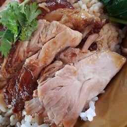 กิ้มเป็ดพะโล้ (ก๋วยเตี๋ยวเป็ด&ข้าวขาหมู) กิ้มเป็ดพะโล้ (ก๋วยเตี๋ยวเป็ด&ข้าวขาหมู)