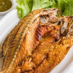 ปลากระพงทอดน้ำปลา เป็นตัว ตัวละ 450 บาท