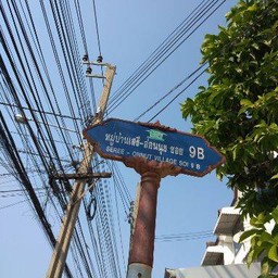 บ้านปลาหมึก