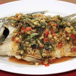 ปลากระพงสามรส