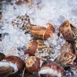 หอยหวานเผา