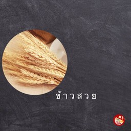 ข้าวสวย