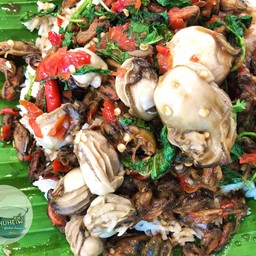 ข้าวกะเพราสองหอย