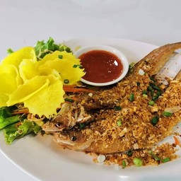 ปลาเนื้ออ่อนทอดกระเทียม