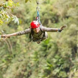 Treetop Adventure Park