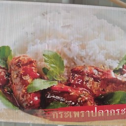 กระเพราปลากระป๋องราดข้าว