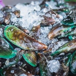 หอยแมลงภู่นึ่ง