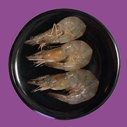 กุ้งสด