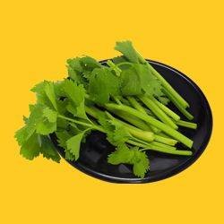 ขึ้นฉ่าย