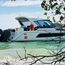 ไทเกอร์มารีนชาร์ตอร์จำกัด