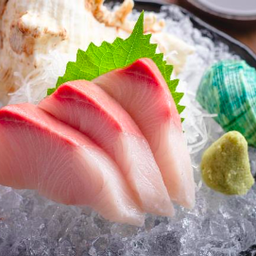 Hamachi Sashimi ซาซิมิปลาฮามาจิ