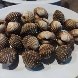 หอยแครง ลวก