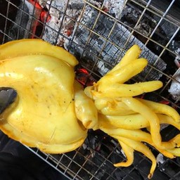 Bหมึกย่าง