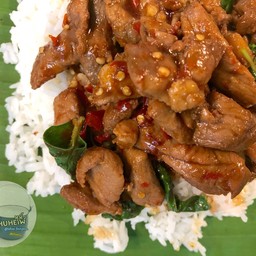 ข้าวกะเพราเป็ด