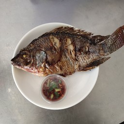 ปลานิลย่าง