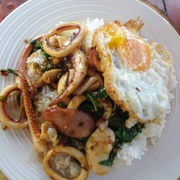 กระเพราทะเล