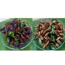 จิ้งหรีด + แมลงสะดิ้ง