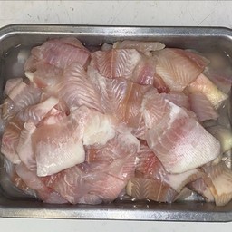 ปลาดอลลี่