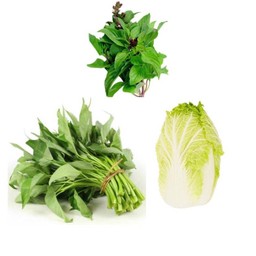 ผัก (ชุดใหญ่)