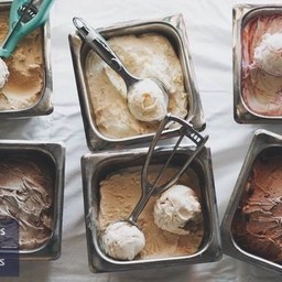 Scoops & Smiles Gelato HAPPY LAND