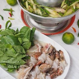 กุ้งหรือปลาเล่นน้ำ