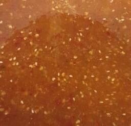 น้ำจิ้มกัสจัง