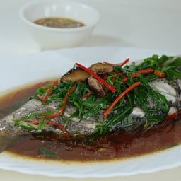 ปลากะพงนึ่งซีอิ๊ว