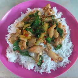 กระเพราไก่